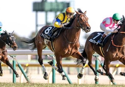 シャイニングソード