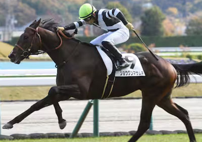 ショウグンマサムネ