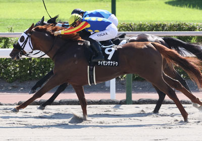 サイモンザナドゥ