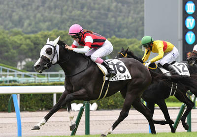 ウインエーデル