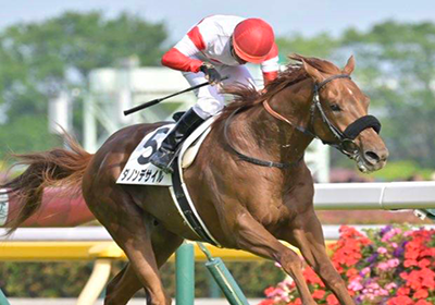 ダノンデサイル