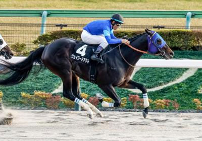 ウェイワードアクト