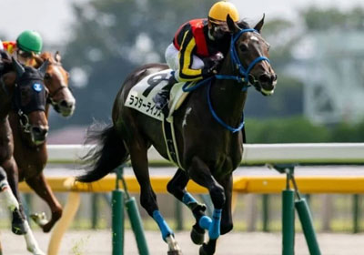 ラフターラインズ