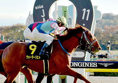 ウォーターリヒト