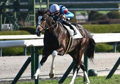 ストームゲイル