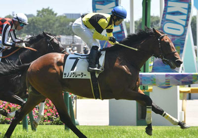 サノノグレーター