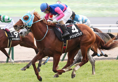 メイショウブレゲ