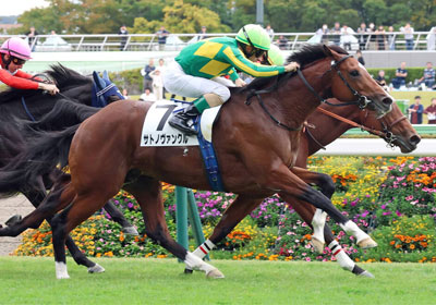 サトノヴァンクル