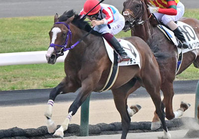 ナチュラルライズ