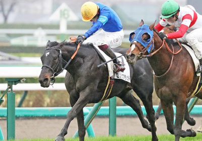 センツブラッド