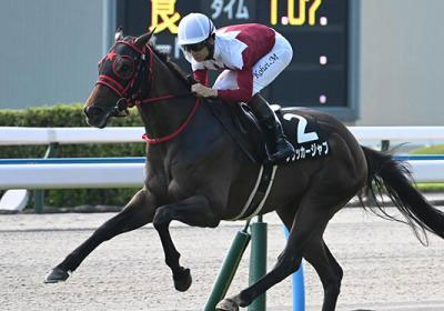 フリッカージャブ