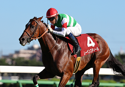 レーベンスティール