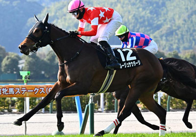 ルージュサウダージ