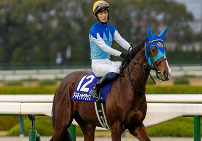 アドマイヤクワッズ