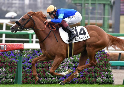 ミスターライト