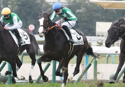 タイキルッジェーロ