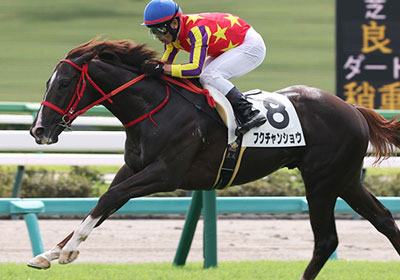 フクチャンショウ