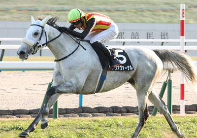 アクアヴァーナル