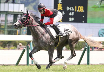 ハッピーエンジェル