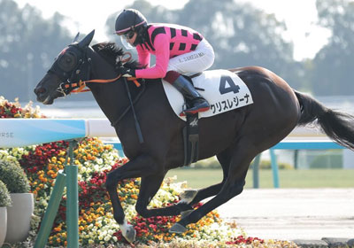 クリスレジーナ