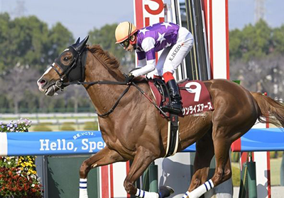 サンライズアース