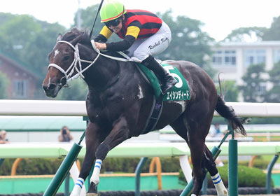 エイシンディード