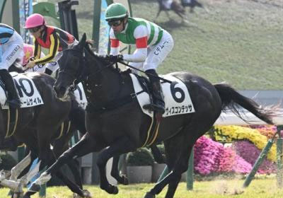 ヴィスコンテッサ