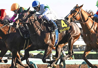 リゾートアイランド