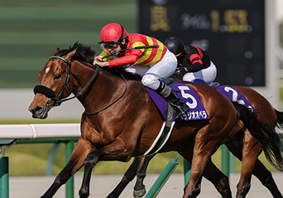 クロワデュノール