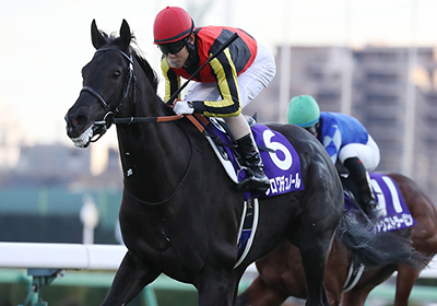 クロワデュノール