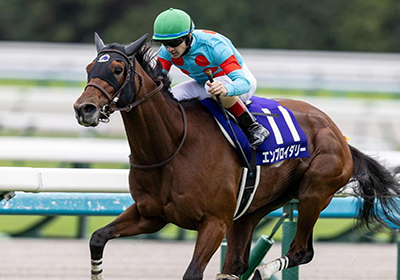 エンブロイダリー