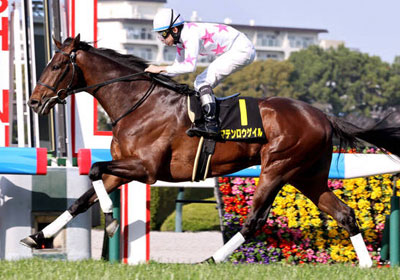 マテンロウゲイル