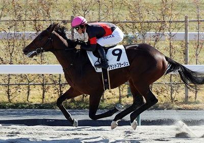 ジョイフルニュース