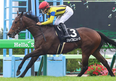 ジョイフルニュース