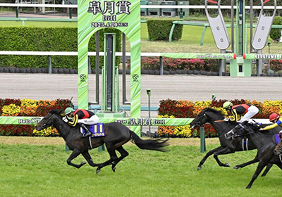 ミュージアムマイル