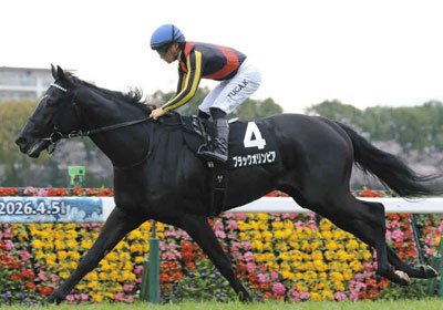 ブラックオリンピア