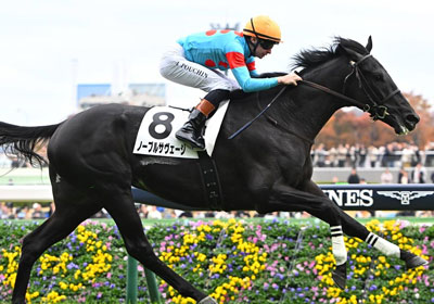 ノーブルサヴェージ