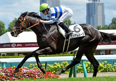 ヒシアムルーズ