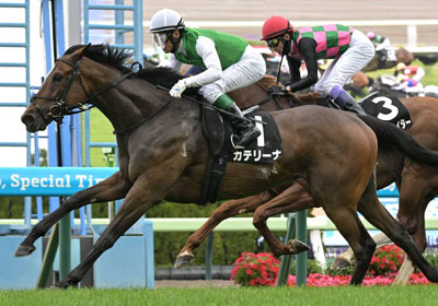 カテリーナ